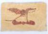 WW1 Royal Naval Air Service (R.N.A.S) Engineers Sleeve Badge - 2