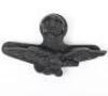 WW2 Royal Air Force War Economy Plastic Field Service Cap Badge