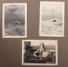 WW2 German Kriegsmarine Minesweepers Photograph Album - 17