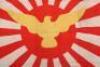 Unusual Japanese Flag Believed to be For Youth Sports - 2