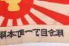 Unusual Japanese Flag Believed to be For Youth Sports - 3