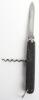 Edwardian Folding Knife - 2