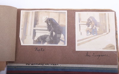 Early 20th Century memorial album of William Hattich dedicated to a dog named Prince who lived from January 1900 to February 1907 - 4