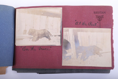 Early 20th Century memorial album of William Hattich dedicated to a dog named Prince who lived from January 1900 to February 1907 - 9