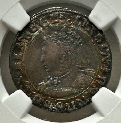 NGC - Mary (1553-54), Groat