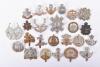 24x British Regimental Cap Badges