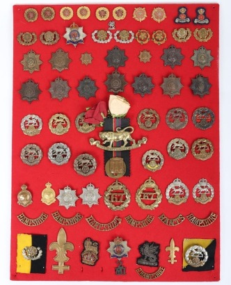 Display Board of Hampshire and Royal Hampshire Regiment Badges and Insignia
