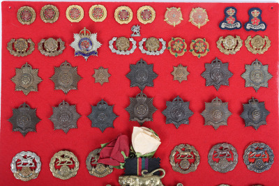 Display Board of Hampshire and Royal Hampshire Regiment Badges and Insignia - 2