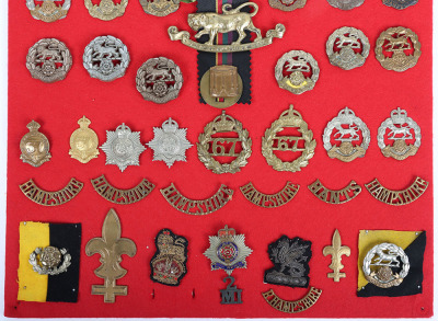 Display Board of Hampshire and Royal Hampshire Regiment Badges and Insignia - 3