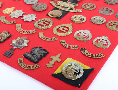 Display Board of Hampshire and Royal Hampshire Regiment Badges and Insignia - 5