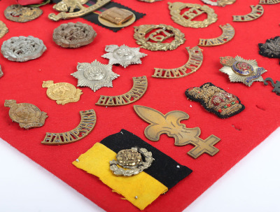 Display Board of Hampshire and Royal Hampshire Regiment Badges and Insignia - 6