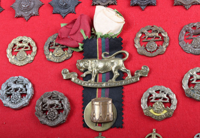 Display Board of Hampshire and Royal Hampshire Regiment Badges and Insignia - 9