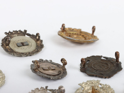 Grouping of 6th Battalion Hampshire Regiment Collar Badges - 5
