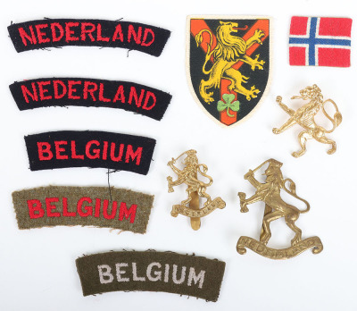 Grouping of WW2 Allied Army in Exile Badges and Insignia