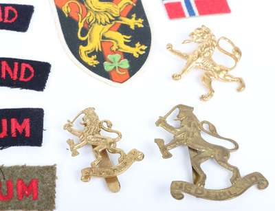 Grouping of WW2 Allied Army in Exile Badges and Insignia - 2