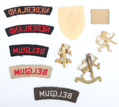 Grouping of WW2 Allied Army in Exile Badges and Insignia - 3