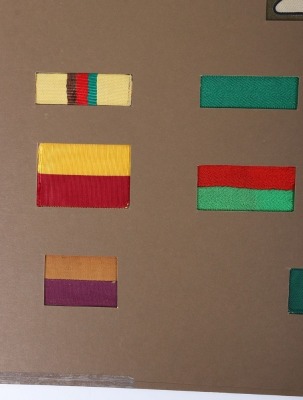 Display of Royal Tank Regiment Battalion Shoulder Designation Slides - 2