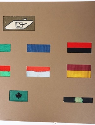 Display of Royal Tank Regiment Battalion Shoulder Designation Slides - 3