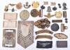 Selection of Metal Badges and Cloth Insignia - 2