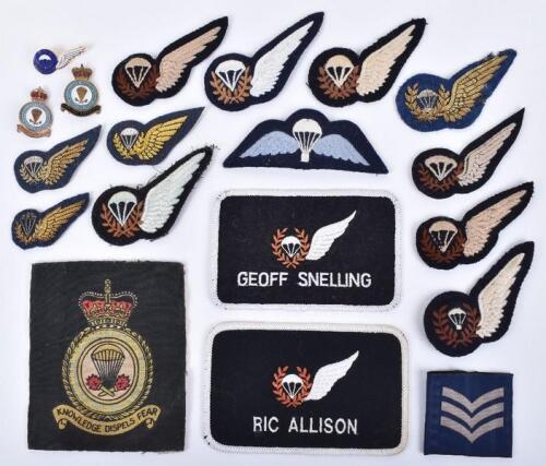 Grouping of Royal Air Force Parachute Instructors Insignia