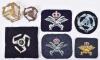 Royal Air Force Physical Training Instructors Cloth and Metal Insignia