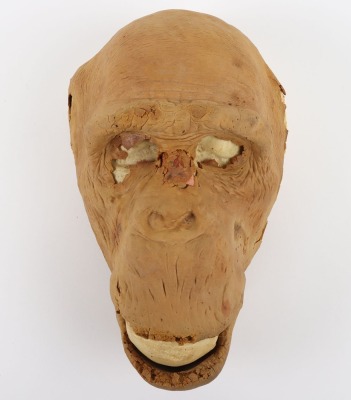 Ape Foam Latex Mask from Greystoke The Legend of Tarzan Lord of the Apes