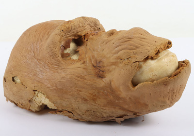 Ape Foam Latex Mask from Greystoke The Legend of Tarzan Lord of the Apes - 2