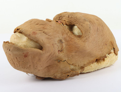 Ape Foam Latex Mask from Greystoke The Legend of Tarzan Lord of the Apes - 3