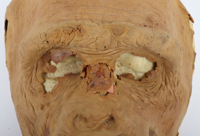 Ape Foam Latex Mask from Greystoke The Legend of Tarzan Lord of the Apes - 6
