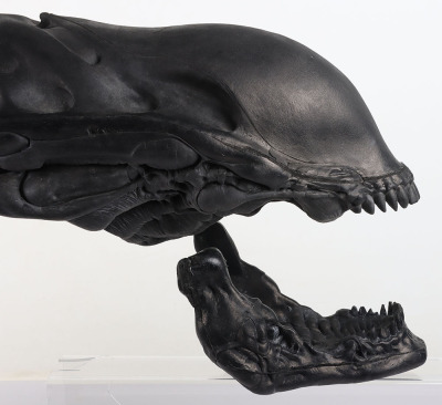 &lsquo;Alien&rsquo; Special effect head From Aliens 3 - 2