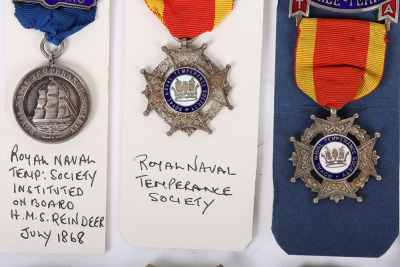 A Collection of Temperance Medals - 2