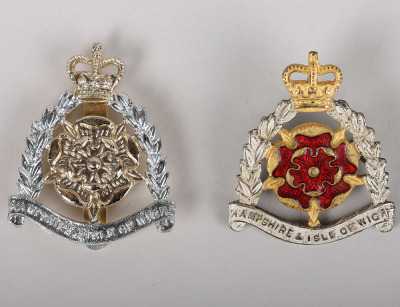 EIIR Hampshire & Isle of Wight Territorials Cap Badges