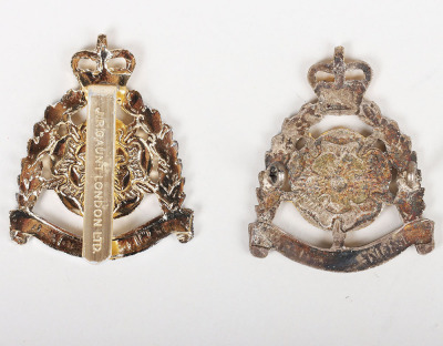 EIIR Hampshire & Isle of Wight Territorials Cap Badges - 2