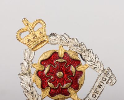 EIIR Hampshire & Isle of Wight Territorials Cap Badges - 7