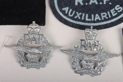 Royal Air Force Police Auxiliaries and Provost Badges and Insignia - 4