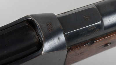 .450 Martini Henry Carbine - 17