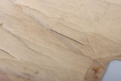 WW2 German Luftwaffe &ldquo;Storch&rdquo; Aircraft Tail Swastika from Aircraft Shot Down in 1945 - 10