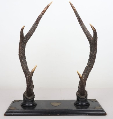 19th / 20th Century Antler Sword Stand