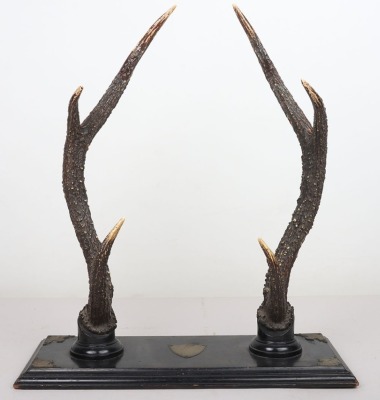 19th / 20th Century Antler Sword Stand