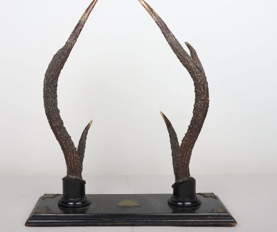 19th / 20th Century Antler Sword Stand - 3