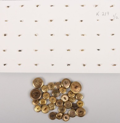 Gilt Mufti and Coatee Buttons (c1820-1860s) - 5