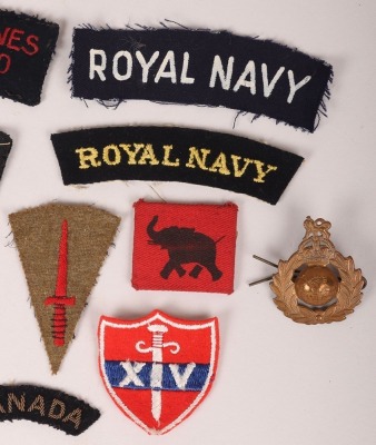 Grouping of Cloth Insignia - 2