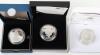 Three Royal Mint silver coins - 3