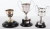 A group of interesting trophy cups relating to H.M.S Iron Duke