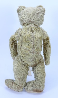 An early English mohair Teddy bear, - 2