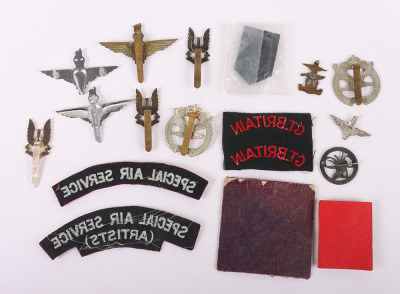 British Special Forces Badges - 2