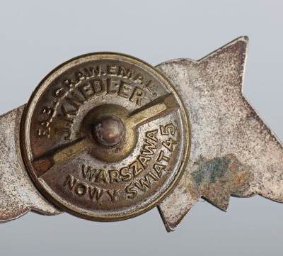 WW2 Polish Air Force Badges and Paperwork Archive of Famous Polish Zoologist and Professor Kajetan Ludwik Boratynski, Being Shot Down and Captured Until Liberation in 1945 - 13