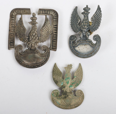 WW2 Polish Air Force Badges and Paperwork Archive of Famous Polish Zoologist and Professor Kajetan Ludwik Boratynski, Being Shot Down and Captured Until Liberation in 1945 - 17