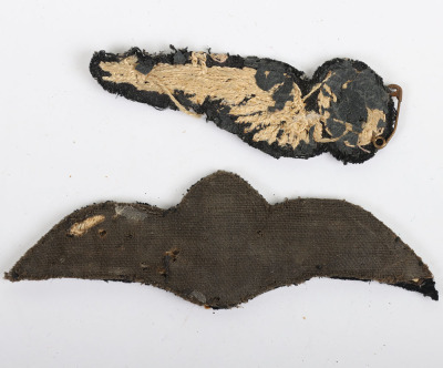 WW2 Polish Air Force Badges and Paperwork Archive of Famous Polish Zoologist and Professor Kajetan Ludwik Boratynski, Being Shot Down and Captured Until Liberation in 1945 - 20