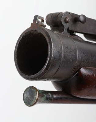 Iron barrel flintlock blunderbuss signed SHALES c.1820 - 7
